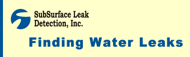 SubSurface Leak Detection: Finding Water Leaks